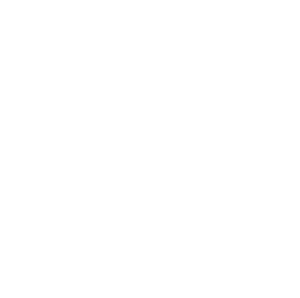 Brasseurs Illimités
