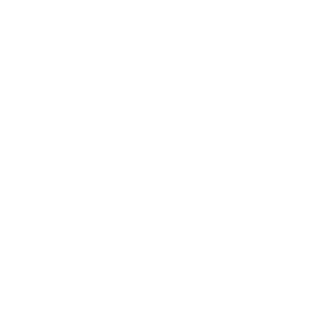 Les Brasseurs du Nord (Boréale)